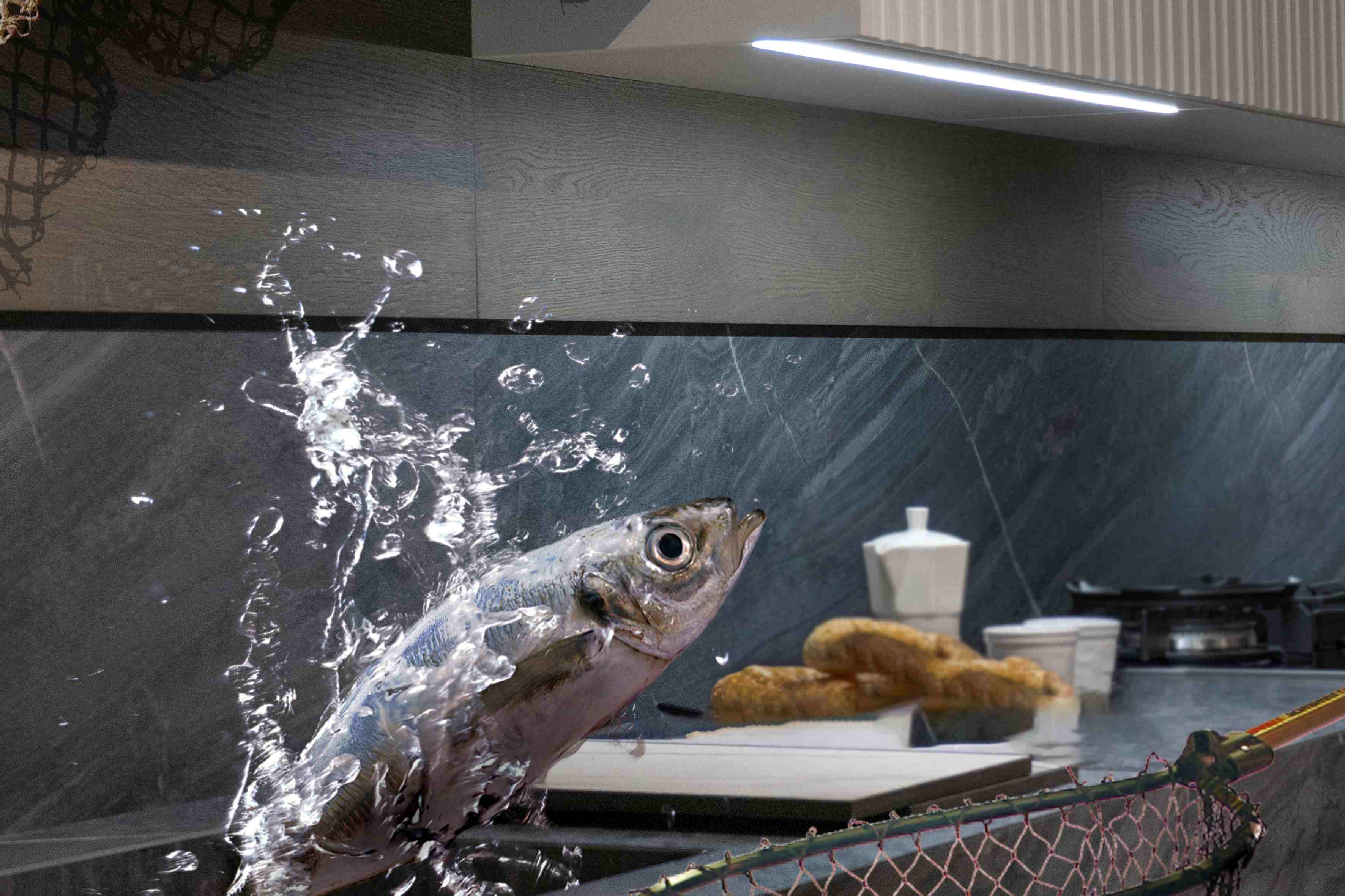 پایان‌نامه‌های عکاسی