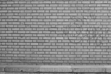 مجموعه عکس خانم فاطمه فقیهی با عنوان: اینجا دانشگاه امیرکبیر نیست!