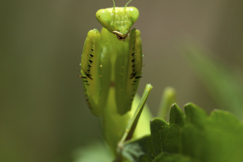 مجموعه عکس‌های آقای حسین محمدجوادی