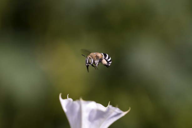 مجموعه عکس‌های آقای حسین محمدجوادی