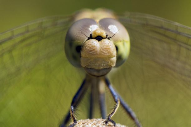 مجموعه عکس‌های آقای حسین محمدجوادی