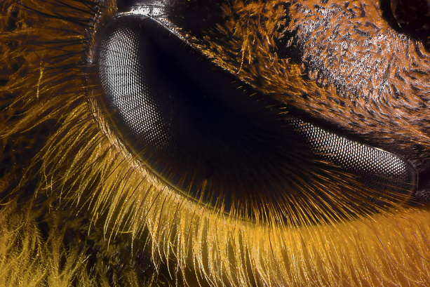 مجموعه عکس‌های آقای حسین محمدجوادی