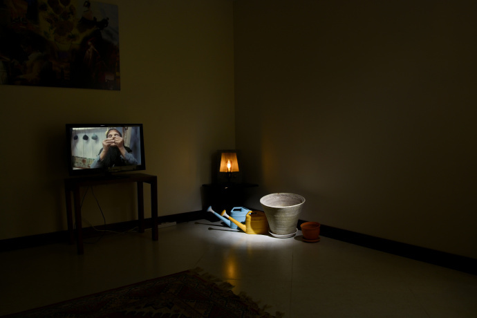 مجموعه عکس خانم سودابه شایگان